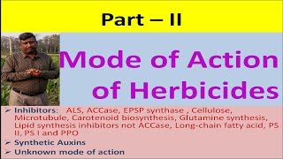 Part II Mode of Action of Herbicides [upl. by Refynnej]