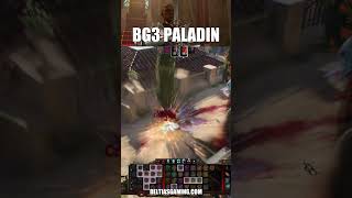 Why Paladins Are the Best Build in BG3 [upl. by Aicenet362]