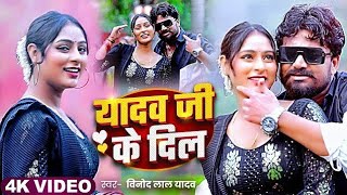 रंगदारी  यादव जी के दिल  Vinod Lal Yadav  Yadav Ji Ke Dil  Bhojpuri Song 2024 [upl. by Clarkin27]