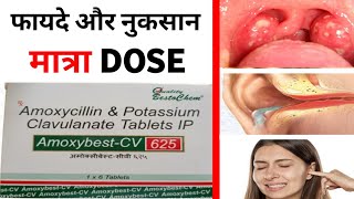 Amoxybest CV625 tablets Benefits dose side effects amp precautions full details in hindi [upl. by Rodgers129]