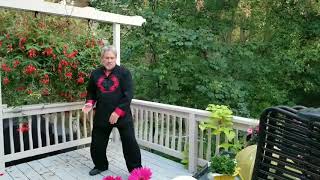 Tai Chi Hip Rotation Exercises  A 30 10 2017 [upl. by Ailemor]