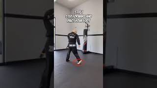 Roundhouse kick Tutorial [upl. by Ahsino]