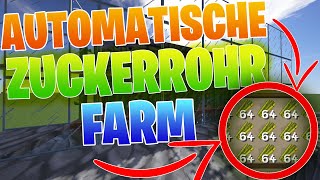 Minecraft VOLLAUTOMATISCHE Zuckerrohr Farm bauen Deutsch 116  Automatisch 100 Effizienz [upl. by Fauch761]