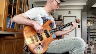 Alembic Spoiler Bass [upl. by Gavin271]