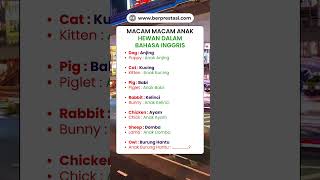 MACAMMACAM ANAK HEWAN DALAM BAHASA INGGRIS [upl. by Philipson676]