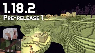 Whats New in Minecraft 1182 Prerelease 1 Noise Routers and Custom Structures [upl. by Hyrup713]