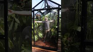 My little tropical paradise 🏡🚿 greenhouse amp misting system by Sproutwell greenhouse plants [upl. by Nihcas]