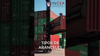 Tipos de aranceles [upl. by Lillian]