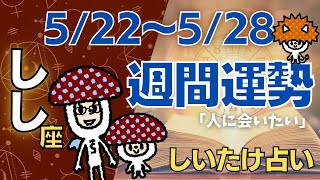 【獅子座】しいたけ占い2023年5月22日〜5月28日今週の運勢【ゆっくり解説】 [upl. by Scarito]