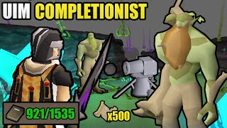 Over 500 Beginner Clues Later Im Finally Done  UIM Collection Log Completionist 41 OSRS [upl. by Silden]