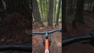 Devils Gulch Valemount mtb ridingtrees falllineriding [upl. by Miguel]