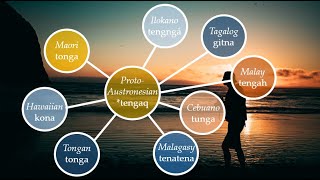 Comparisons between Hawaiian and other Austronesian languages PART 3 [upl. by Cordier]