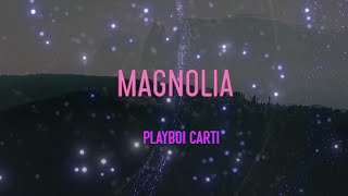 Playboi Carti  Magnolia Lyrics  In New York I Milly Rock Hide It In My Sock [upl. by Moyra]