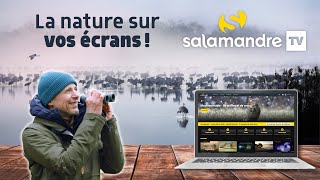 Soutenez SalamandreTV la plateforme du documentaire animalier [upl. by Odilo]