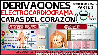 DERIVACIONES ELECTROCARDIOGRAMA Y CARAS DEL CORAZÓN  GuiaMed [upl. by Ykcir435]