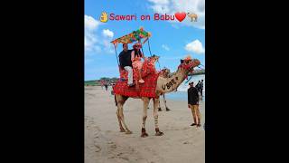 Oont ki Sawari New Journey Babu sbofficial ytshorts [upl. by Ael524]