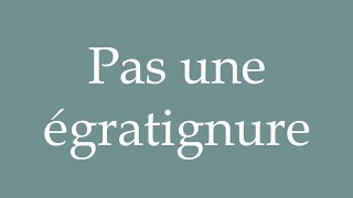 How to Pronounce Pas une égratignure Not a scratch Correctly in French [upl. by Enomed]