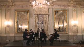 Gaetano Donizetti  String quartet n 17 1st Mov [upl. by Kahcztiy892]