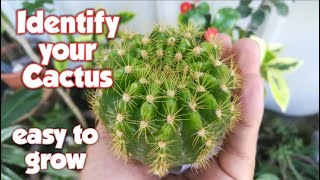 Cactus Names and Pictures  Cactus Identification [upl. by Edieh752]