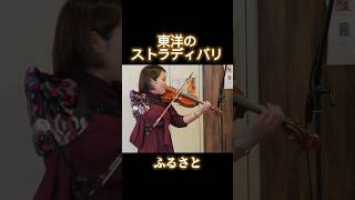 東洋のストラディバリと呼ばれている、陳昌絃さんのバイオリンを弾かせていただきました♪ バイオリンviolin violincover 童謡 shorts short [upl. by Senaj624]