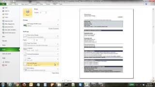 How to Print an Excel Spreadsheet on One Page [upl. by Najar433]