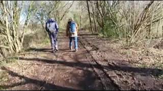 Forest Way Country Park [upl. by Aneetsirk352]