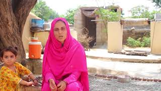 HomeBased Livestock Training for Women at Attock and Chakwal [upl. by Aitnahs303]