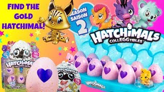 HATCHIMALS Colleggtibles Season 2 Find The Rare Gold Hatchimal [upl. by Ahsimot]