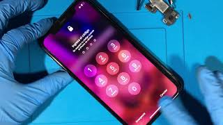 Cambiar Pantalla iPhone XR correctamente [upl. by Sela292]