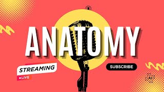 ANATOMY MEDICINE Live Stream [upl. by Glynn36]