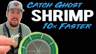 A FASTER way to catch GHOST SHRIMP  Florida [upl. by Licastro219]