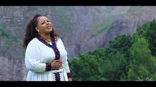 Amsal Mitike  ወይ ወሎ  Ethiopian Music 2019 Official Video [upl. by Kevyn438]