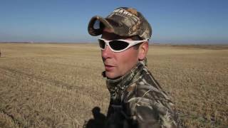 Hired to Hunt Season 2 8  Goose Hunting and Duck Hunting Limit hunts in Alberta [upl. by Bourke64]