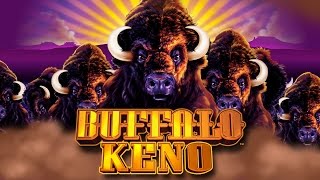 Buffalo Keno  Grand Vision Gaming  Keno [upl. by Annitsirhc]