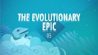 The Evolutionary Epic Crash Course Big History 5 [upl. by Dean89]