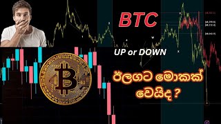 BTC elliott wave analysis  price prediction [upl. by Dnomzed]