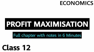 Profit Maximisation Full Chapter Explanation With Notes Chapter 7 HS [upl. by Narbig51]