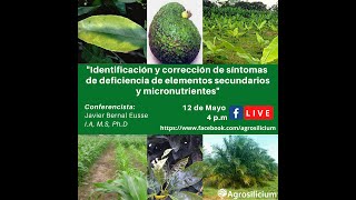 Agrosilicium Síntomas de deficiencia de elementos secundarios y micronutrientes [upl. by Natsirt]