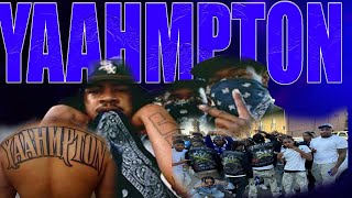 COMPTON Park Village CRIPS Reaction [upl. by Tilford]