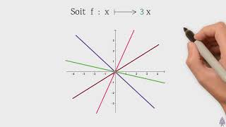 Représenter graphiquement une fonction linéaire  3ème2nde [upl. by Adara]
