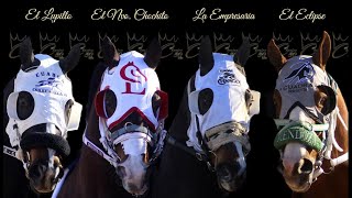 Carreras de Caballos en Hipodromo Los Mezquites 17 de Marzo 2024 [upl. by Amalbergas]