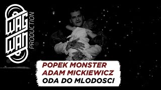 POPEK MONSTER INTERPRETATION ADAM MICKIEWICZ  ODA DO MLODOSCI [upl. by Adna18]