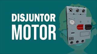 Disjuntor Motor [upl. by Dag]