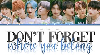 AI COVER How would STRAY KIDS sing DONT FORGET WHERE YOU BELONG by ONE DIRECTION [upl. by Davine]