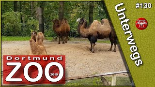 Dortmund Zoo 2019 [upl. by Charteris]