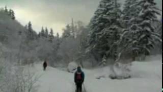 Hokkaido Powder Guides Skiing Daisetsuzan [upl. by Enerol353]