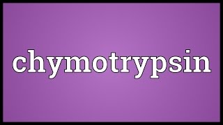 Chymotrypsin Meaning [upl. by Atrebla276]