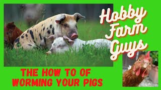 All About Worming Your Pigs [upl. by Ahrendt]