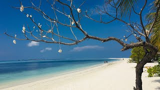 KUREDU ISLAND RESORT  BLISSFUL amp STUNNING BEACHES MALDIVES [upl. by Nnailuj]