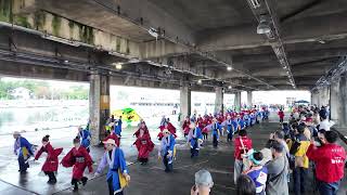 【4K】ぬまづ熱風舞人（よさこい東海道 沼津秋祭り 2024第一市場演舞場 [upl. by Ainegue777]